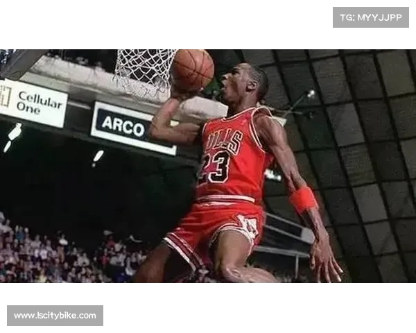 NBA5大“铁人”,詹姆斯唯一手术是植发 一神人16年全勤 NBA5大“铁人”,詹姆斯唯一手术是植发 一神人16年全勤